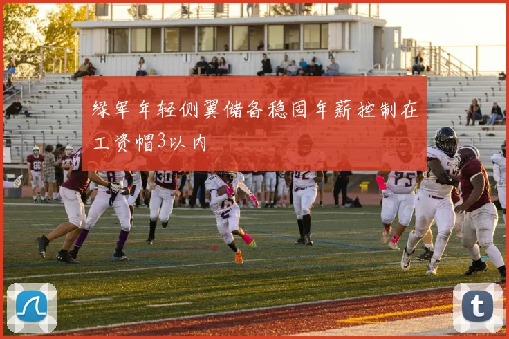 绿军年轻侧翼储备稳固年薪控制在工资帽3以内